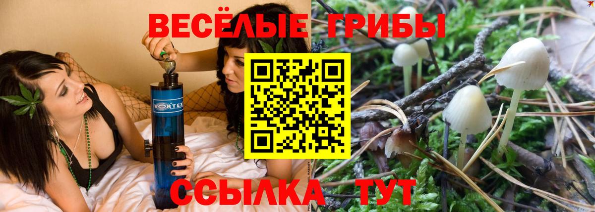 Галлюциногенные грибы Psilocybine cubensis Усть-Илимск